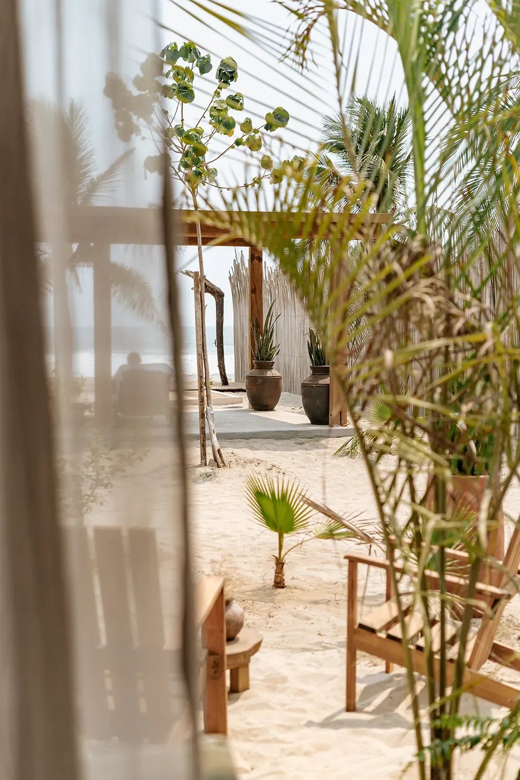 View from a room with vegetation and see